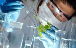 南京网络设备制造致富全攻略